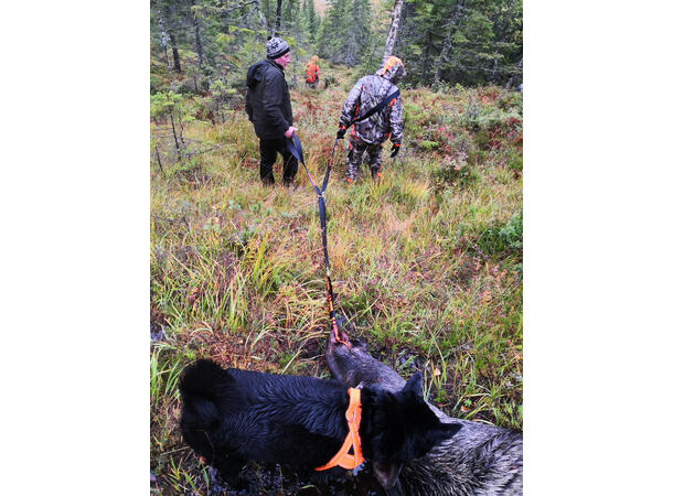 Neverlost jaktpakke, slaktesett, førstehjelp, viltdrag og gamebag